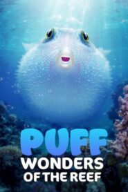 ดูสารคดี Puff Wonders Of The Reef พัฟฟ์ มหัศจรรย์แห่งปะการัง (2021)